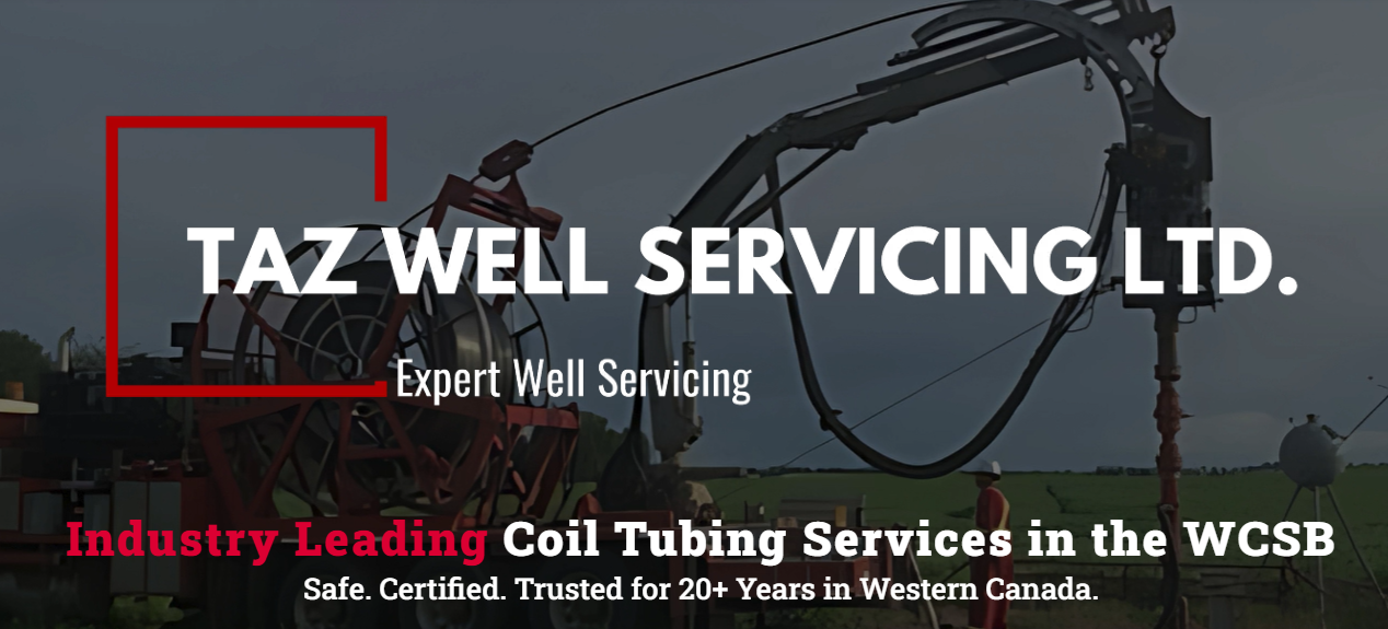 TAZ Well Services LTD